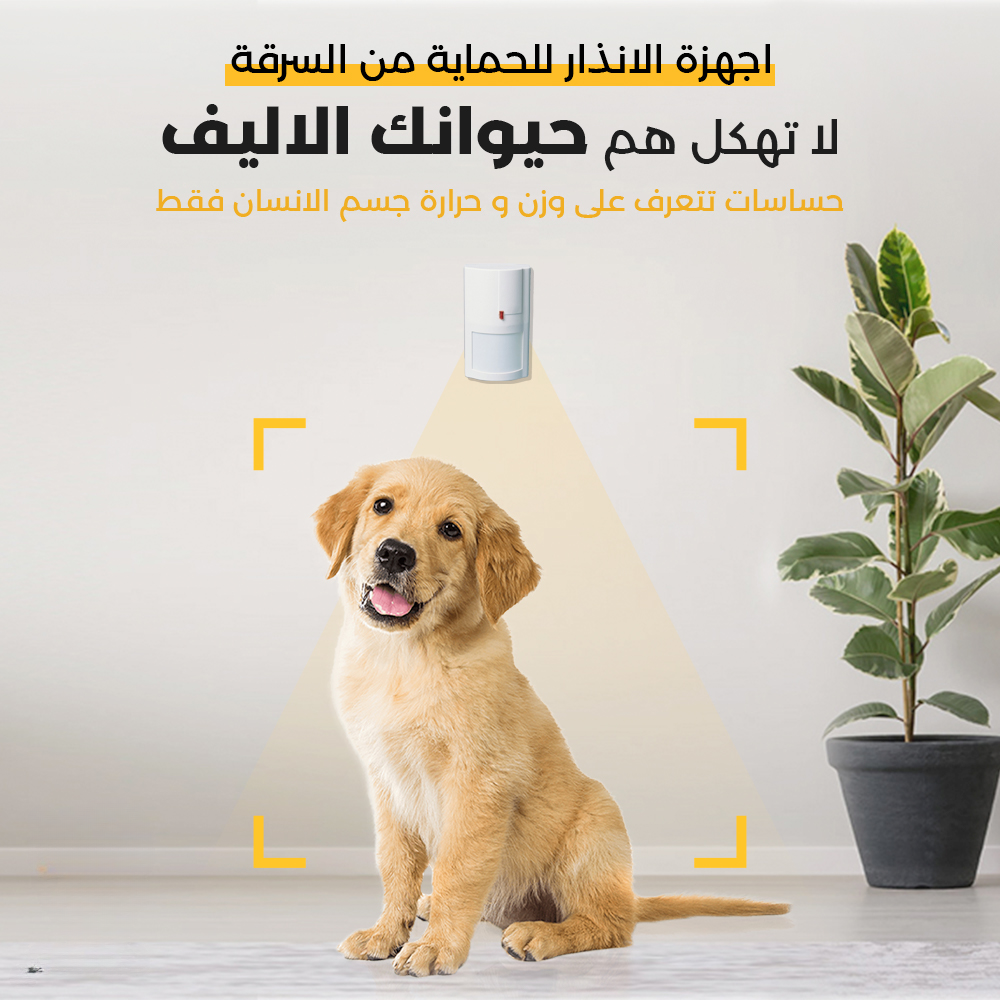 475778815_1160544632443097_4122678388145931208_n (1)